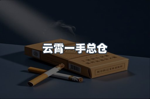 越南香烟系列